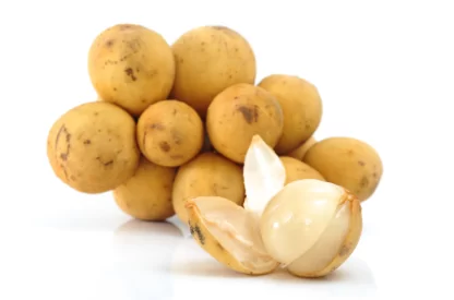 cây giống bòn bon thái