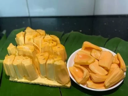 Cây giống mít thái siêu sớm