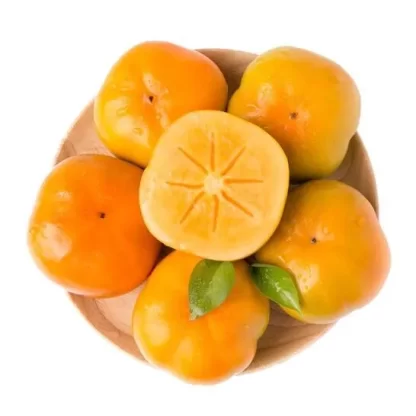 Cây giống hồng không hạt bảo lâm