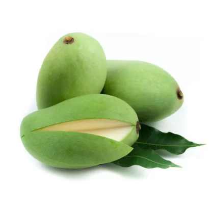 cây giống xoài keo